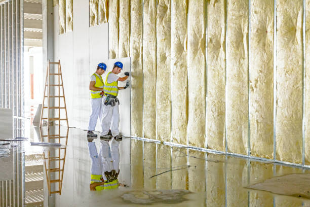 Types of Insulation We Offer in Bushyhead, OK